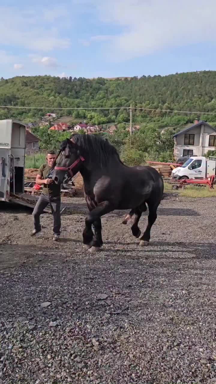 @annaroseus101