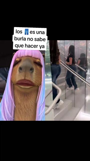 @migdaliasantos09