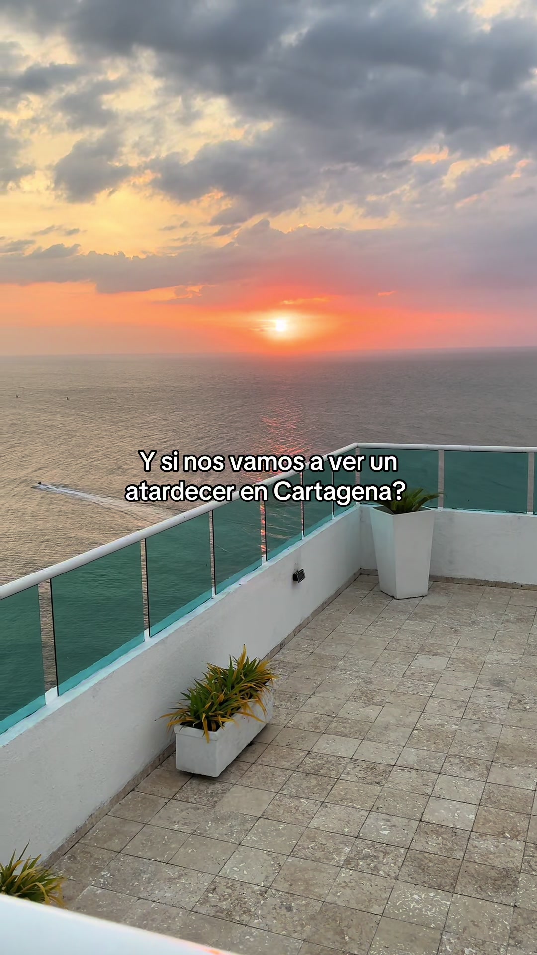 @Daniela Roncancio 🌼