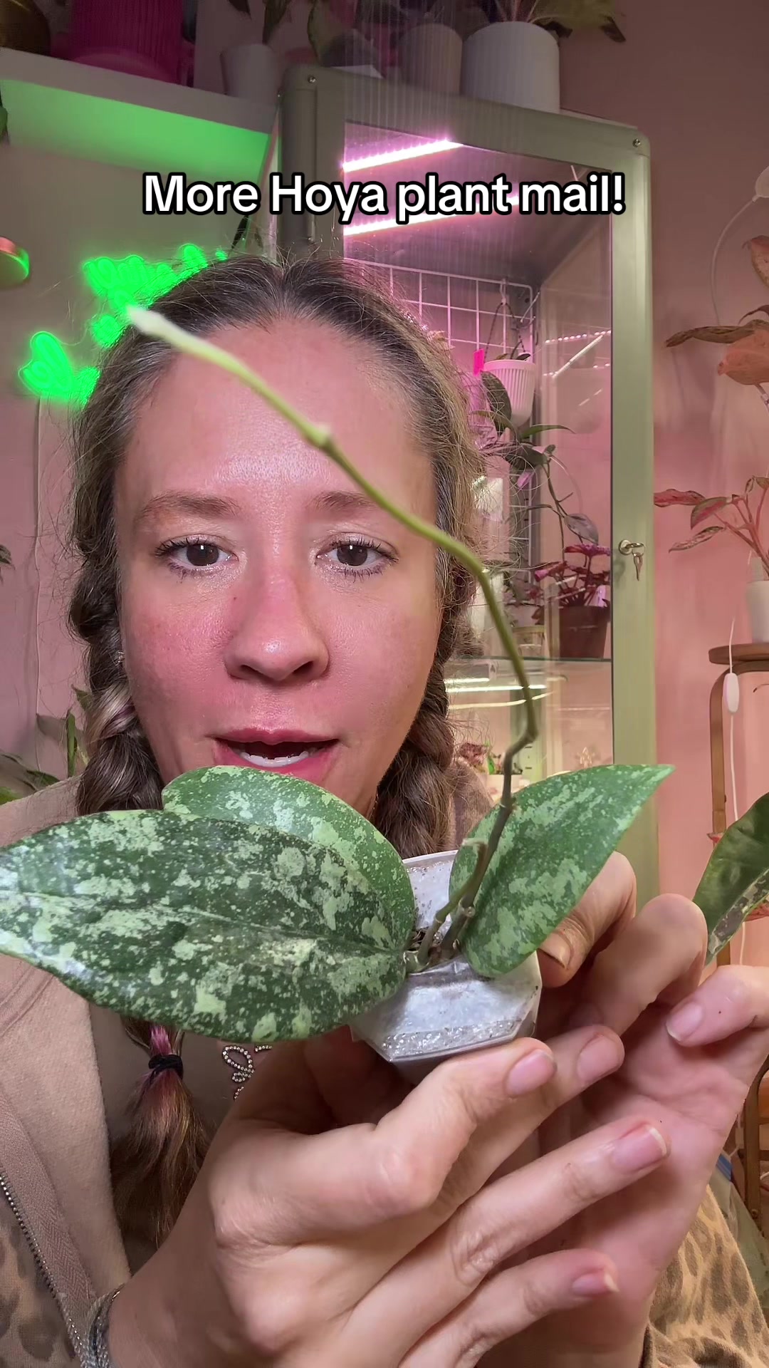 @Erin&ensp;Keys&ensp;-&ensp;TheBoujeeGreenhous
