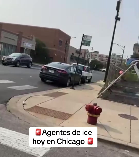 @smith noticias