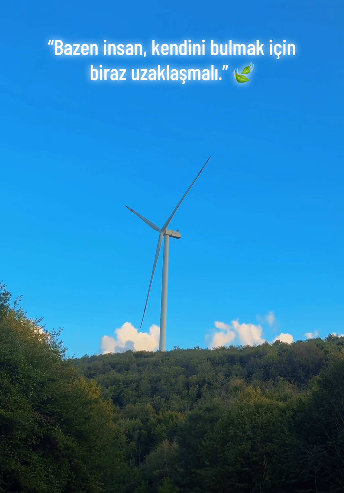 @erkan6161