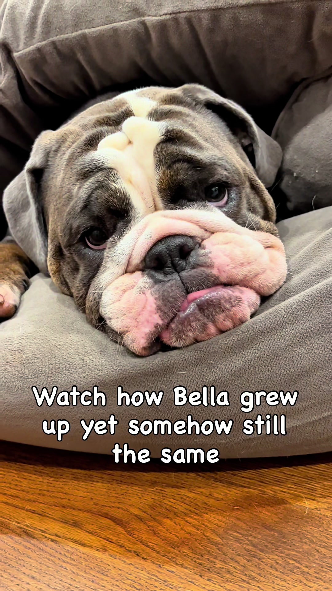 @ChubbynBella