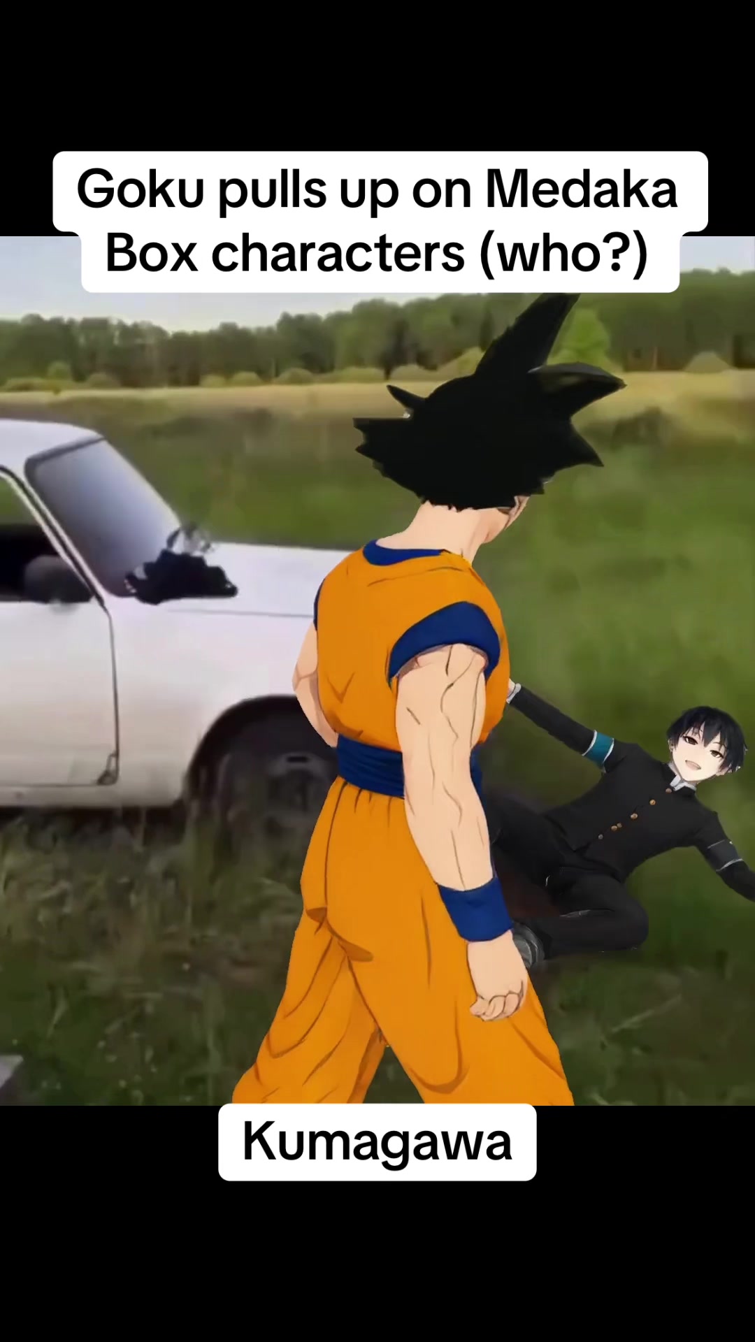 @Gokusolos