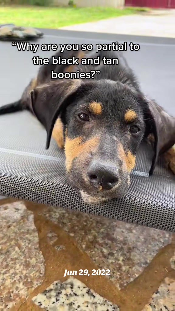 @Boonie Babies