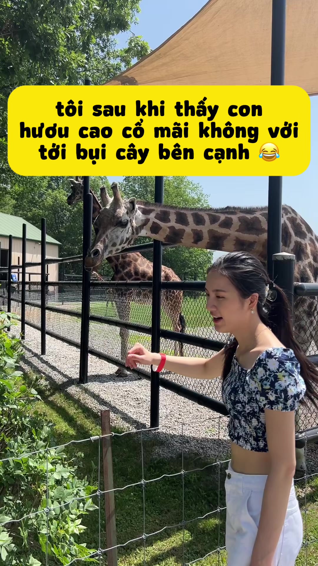 @Thanh Tâm Vegan Life