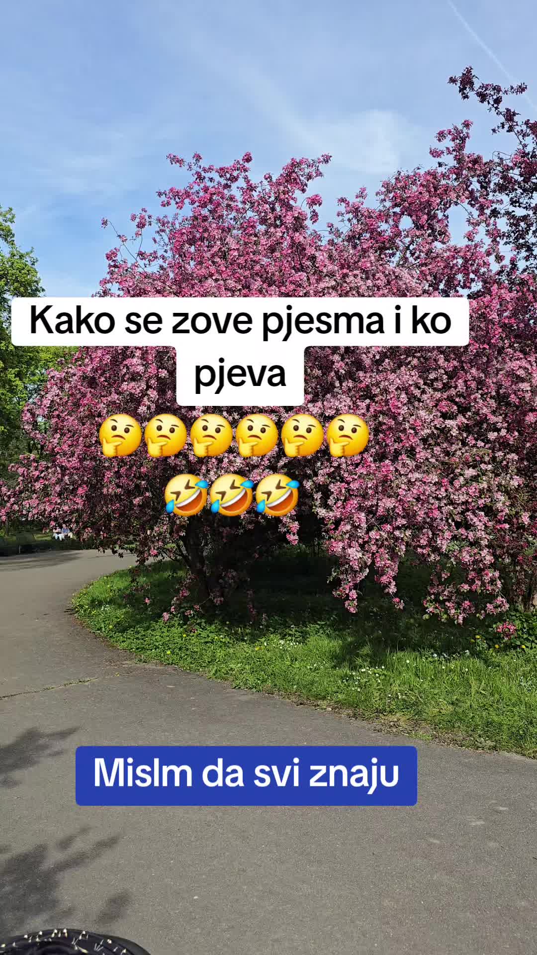 @👑jasko👑✌️✌️✌️