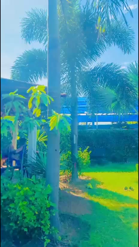 @⚜️𝕊𝕂_𝕪𝕆𝕦𝕊𝕒𝔽𝕫𝔸𝕚⚜️