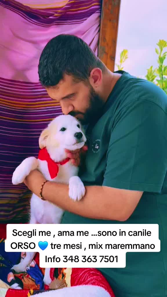@Manuela