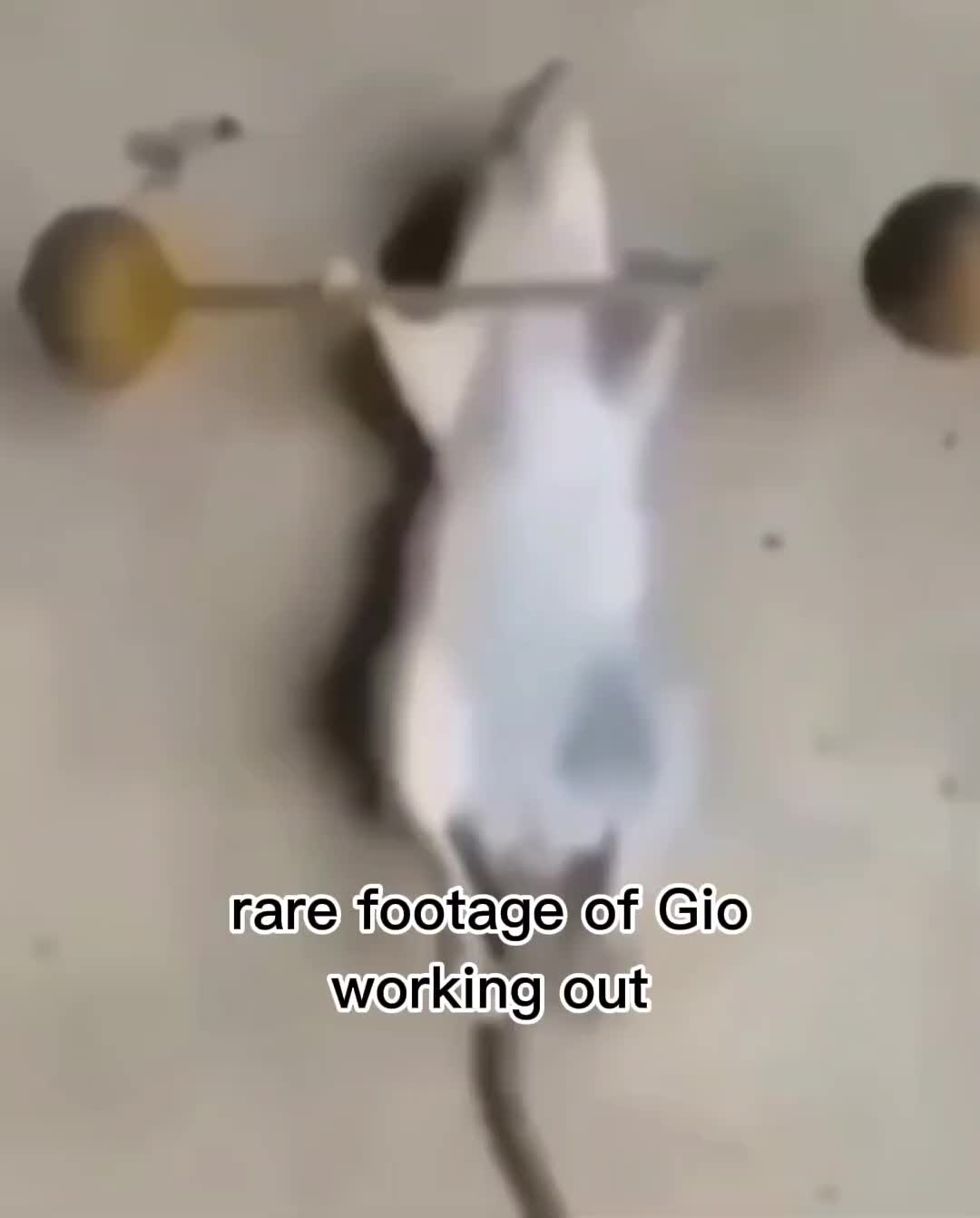 @Kayden🇵🇱✝️