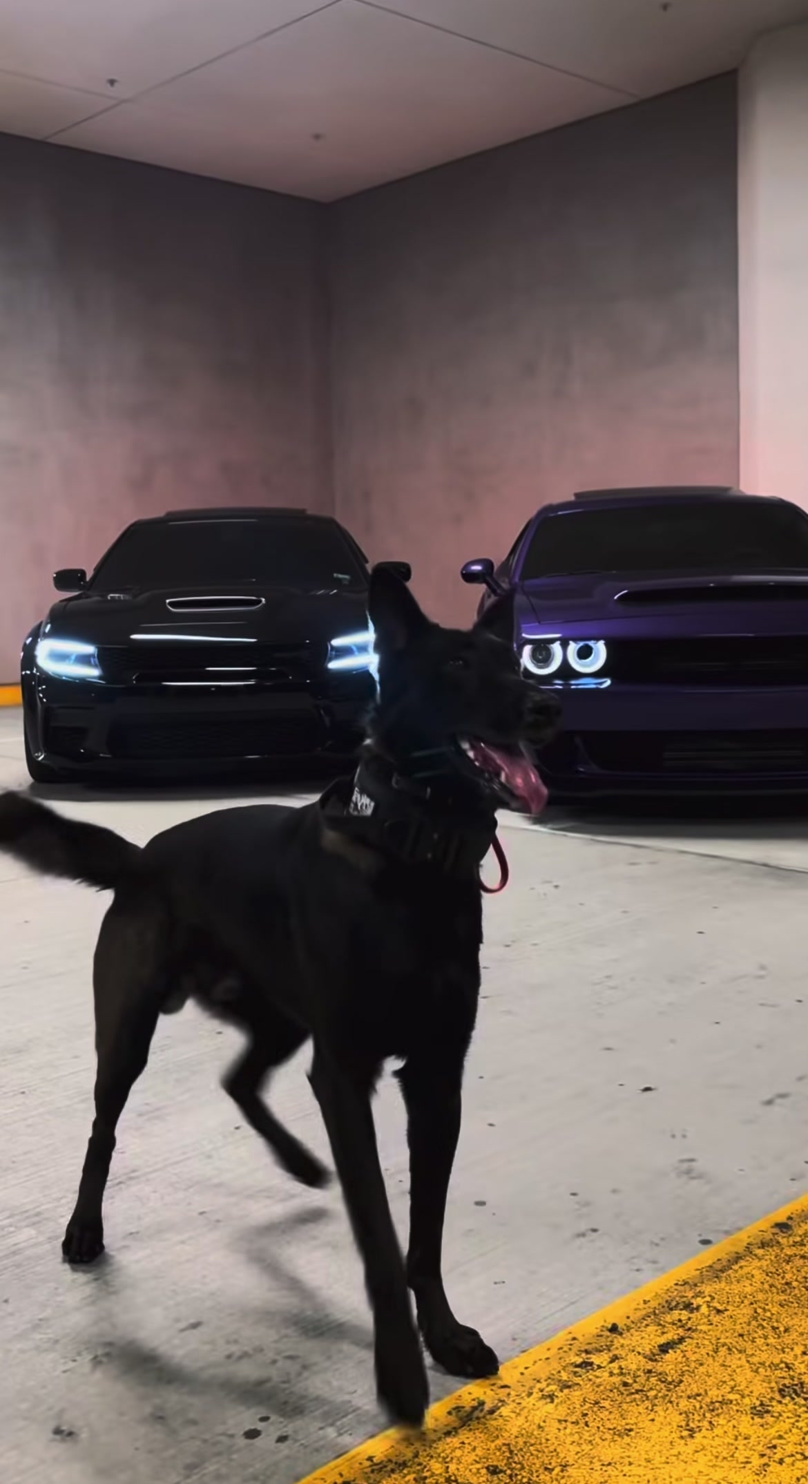 @vperformance