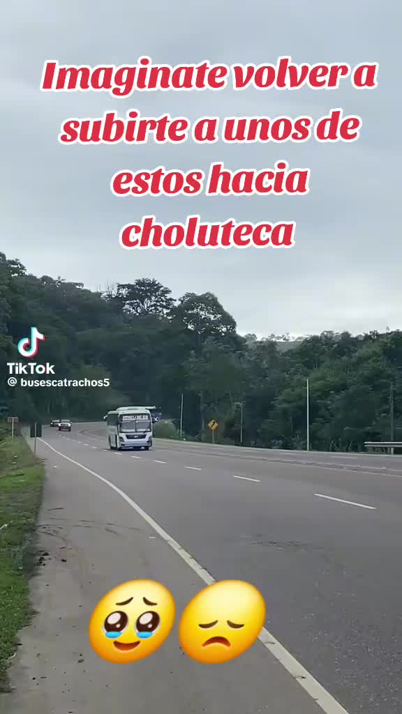 @FERNANDOJR.🐺SANCHEZ🇭🇳PEREZ