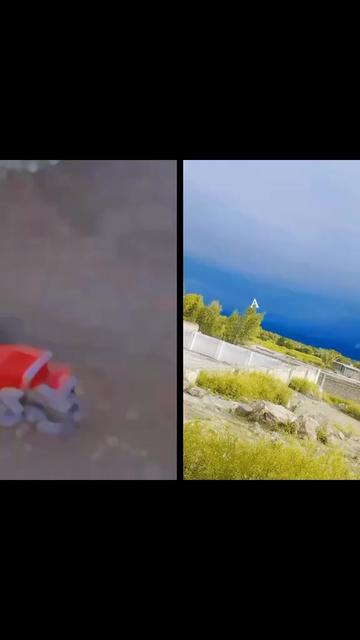 @king ♥️👑