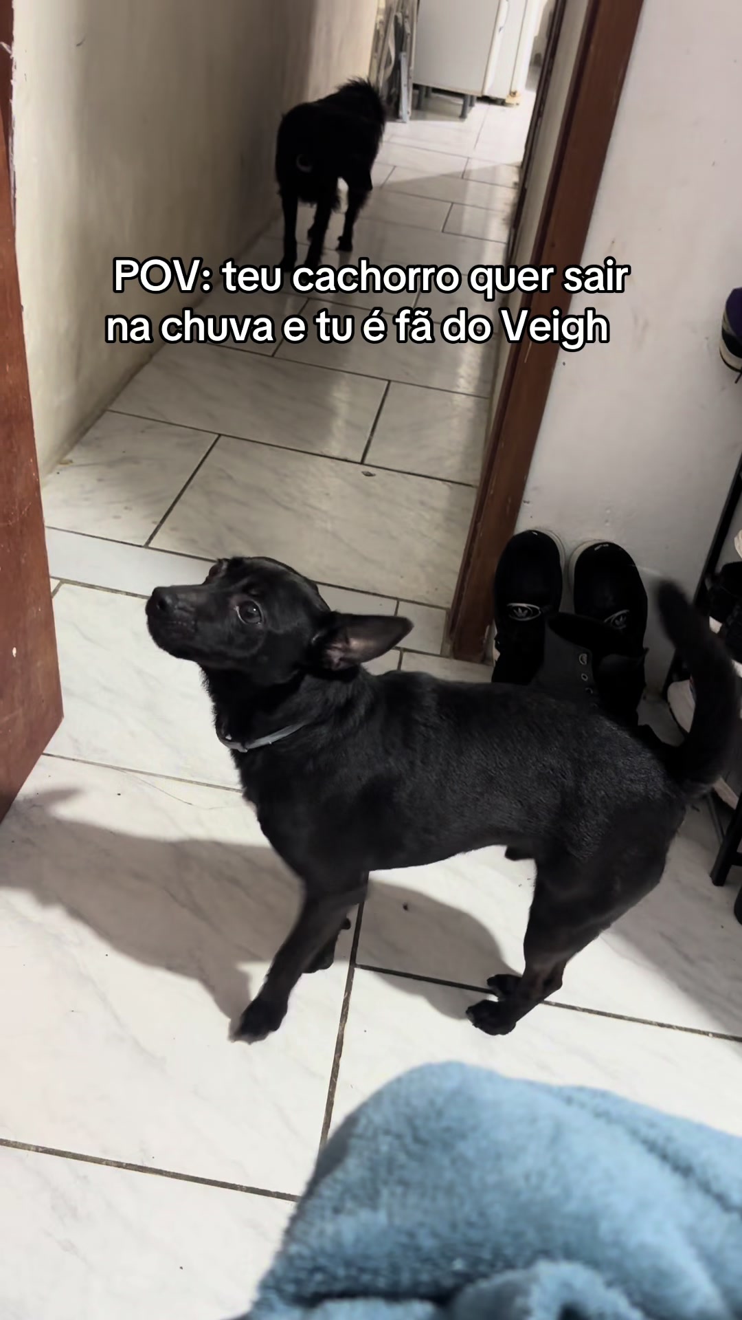 @Lisian Santos