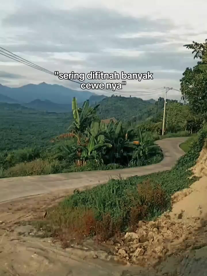 @ArdisTista