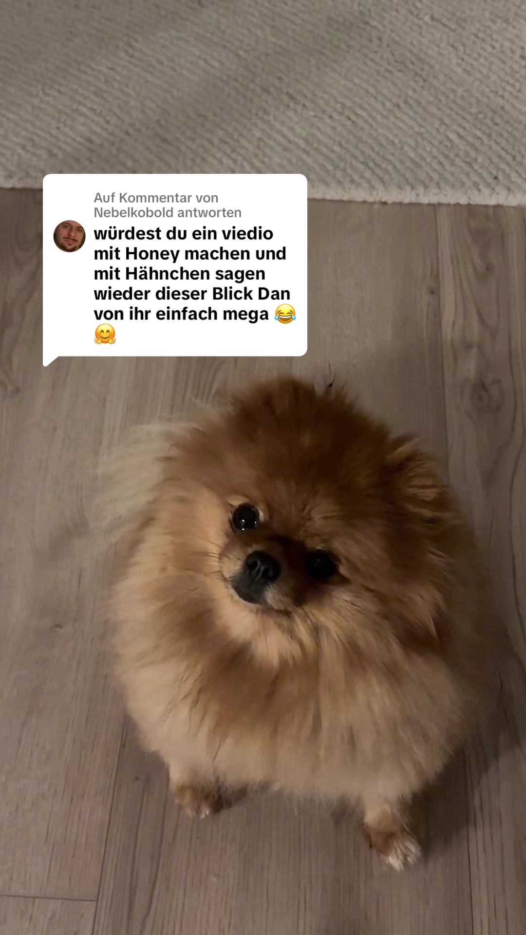 @agirlandherhoney