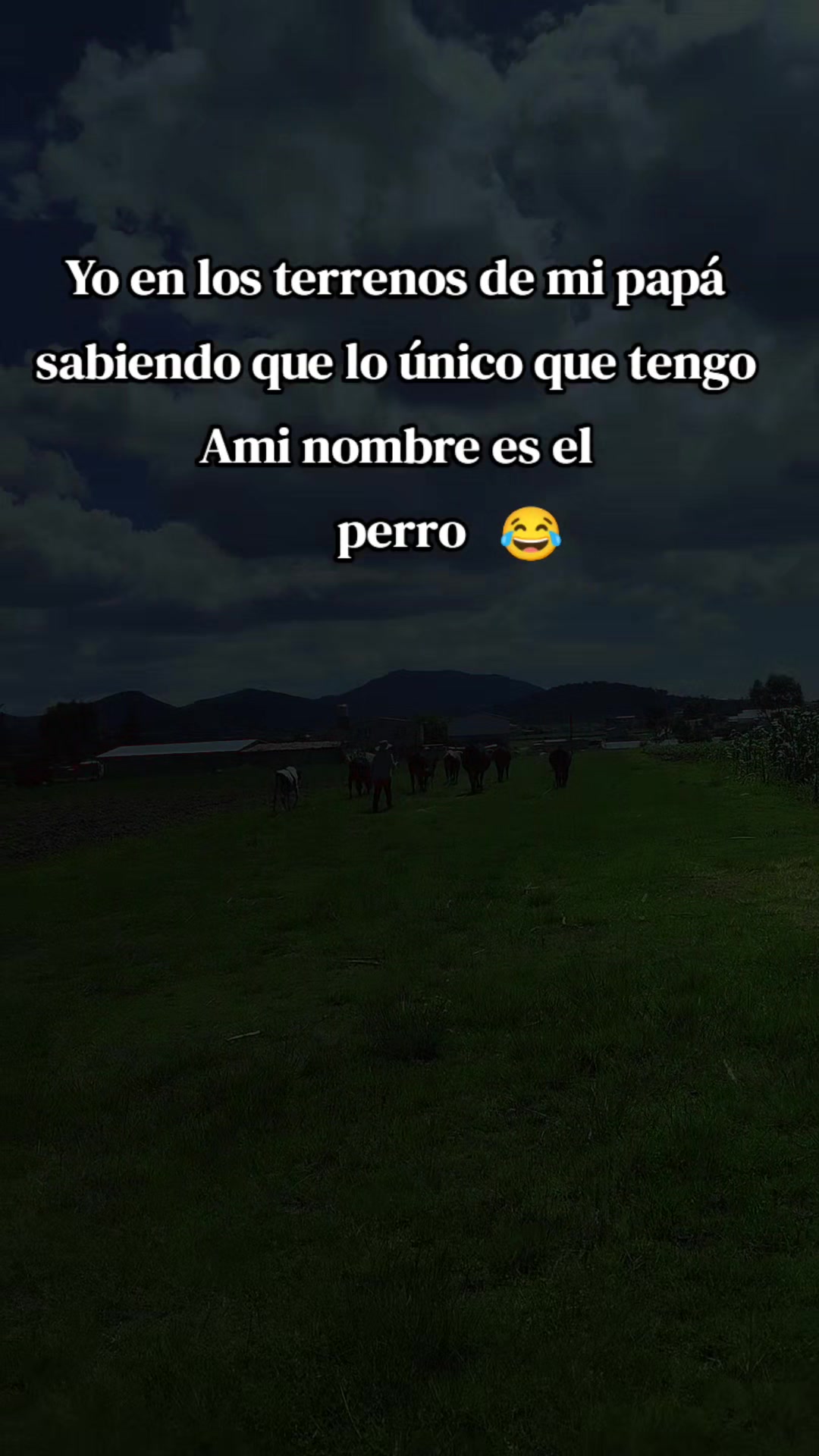 @DiiaNiitha🍀