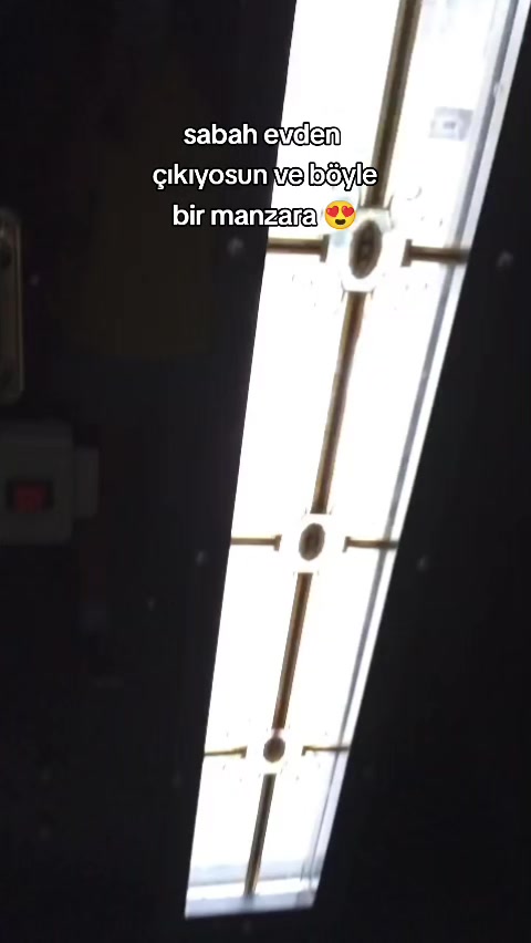 @elif.arslankay