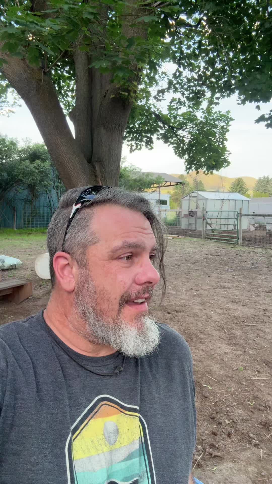 @Archaeowolf