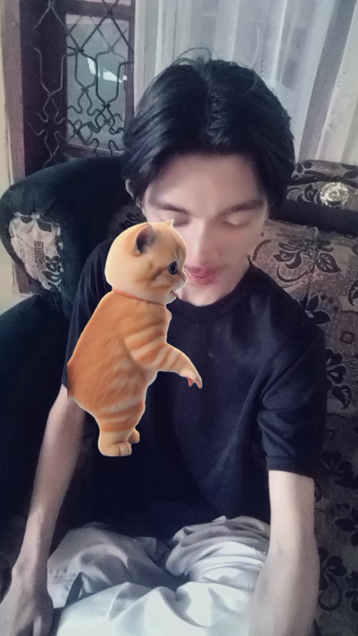 @notifikasi dari tik tok
