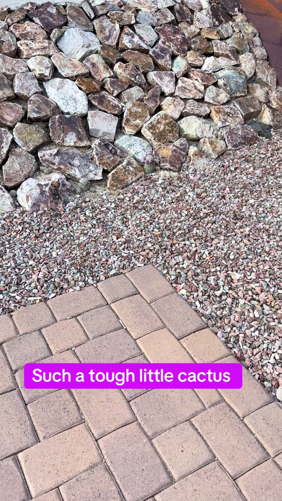 @desertgirly14