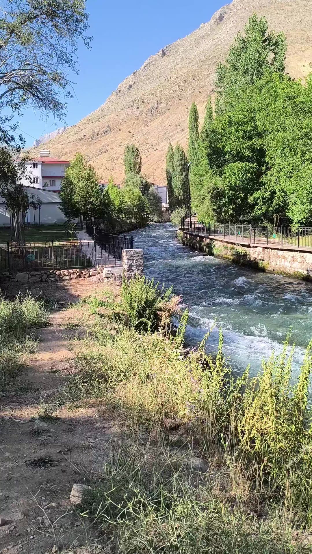 @RIDVAN 65📸📽️