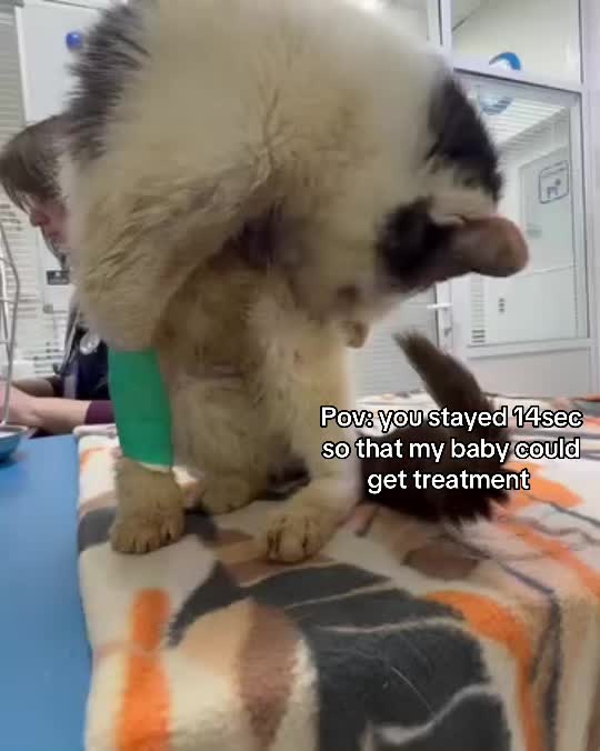 @wemakerescues