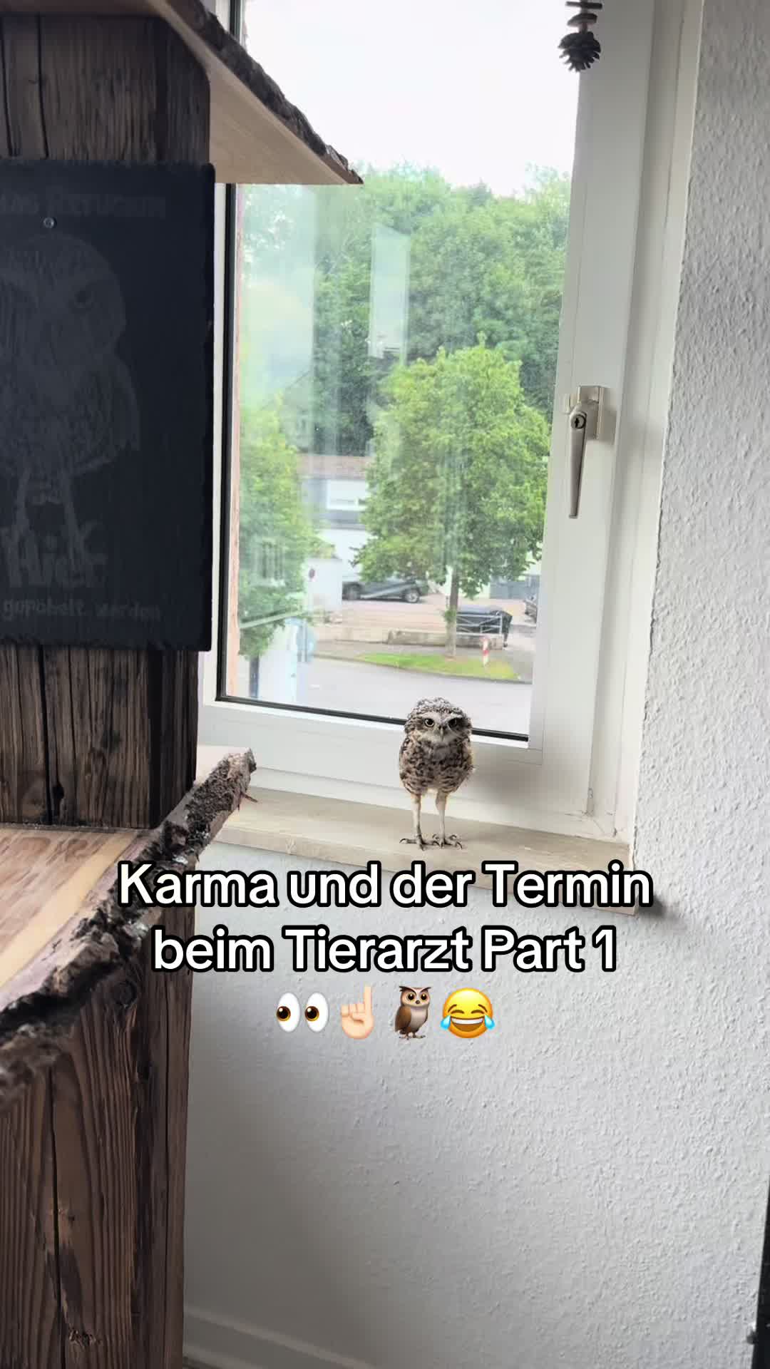 @Kreischhuhn Karma 🦉