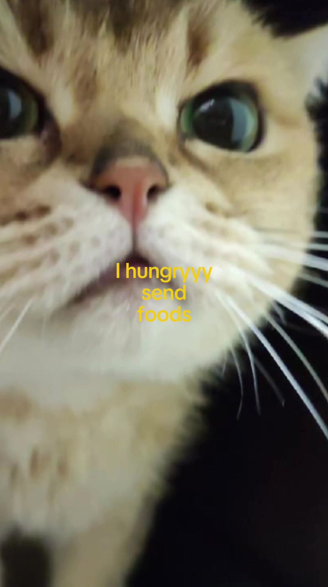 @Doug funny