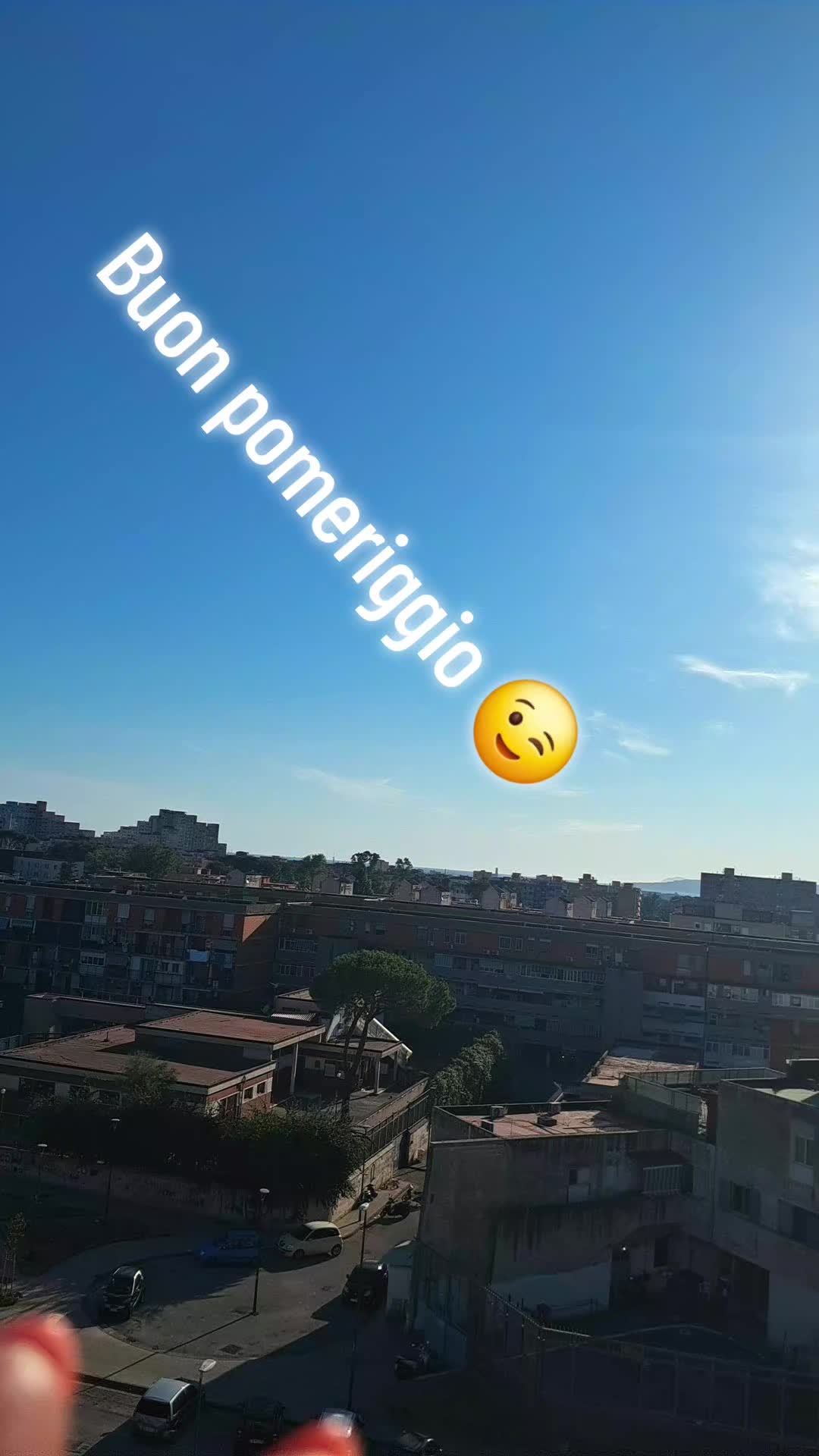 @vincenzapalmese16