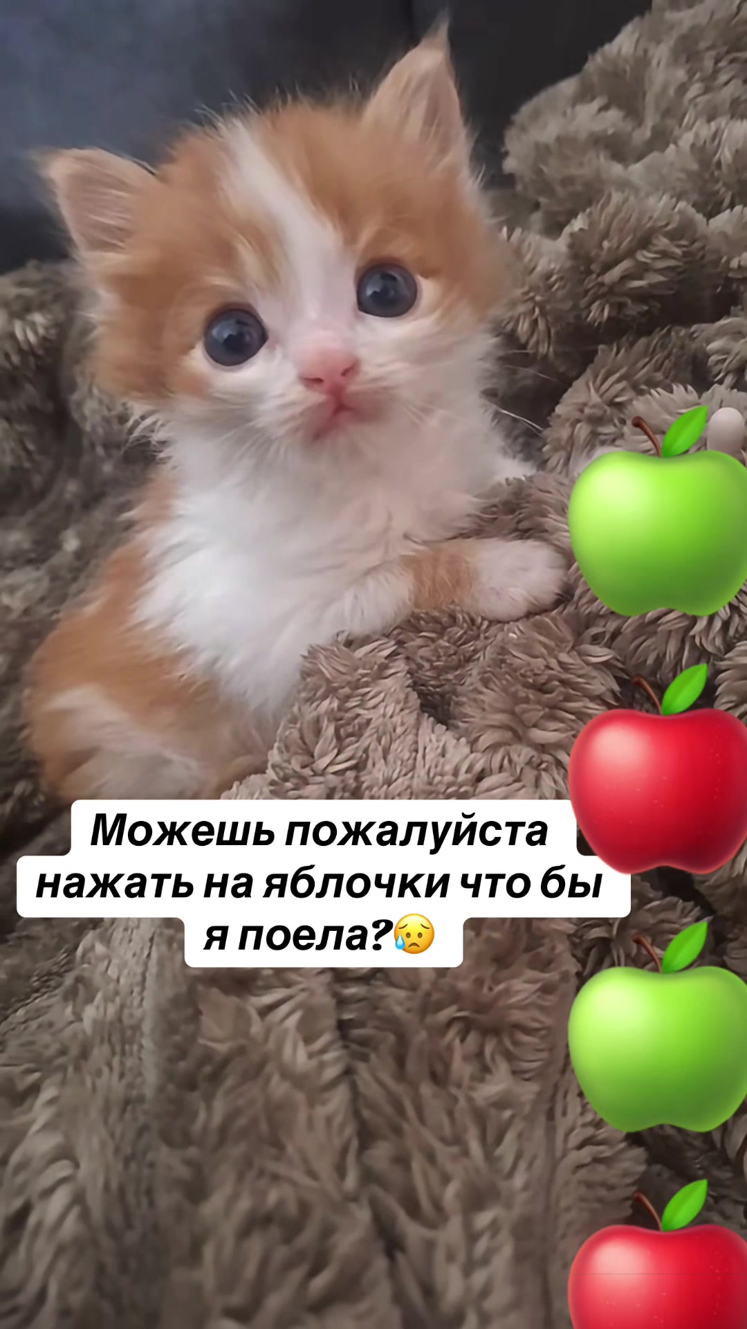 @kaboompriut