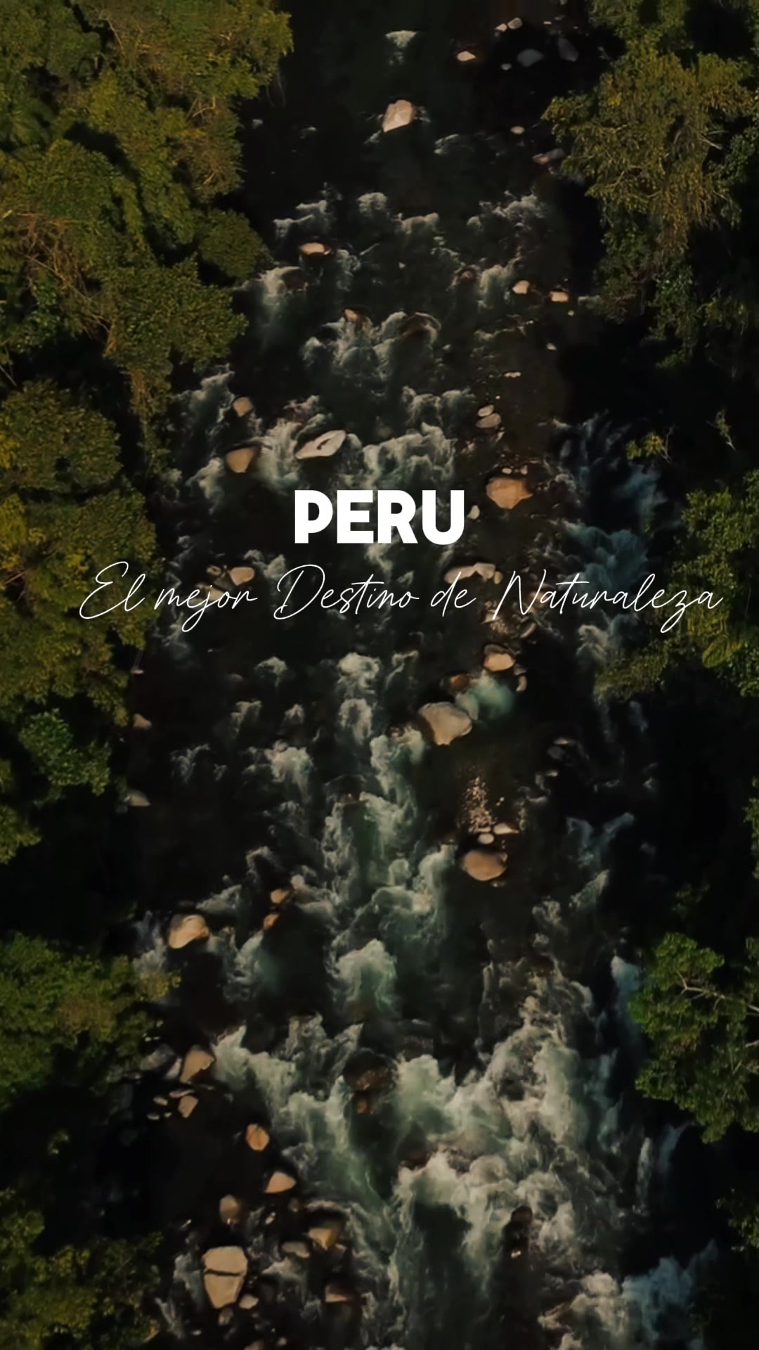 @Avistando Peru