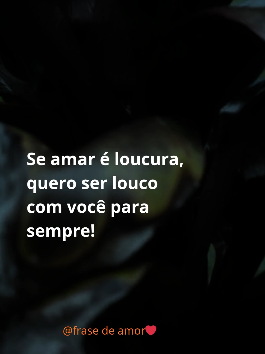@FRASES DE AMOR❤️