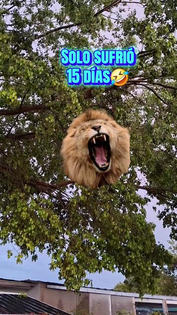 @🇨🇺Magalys🇺🇲