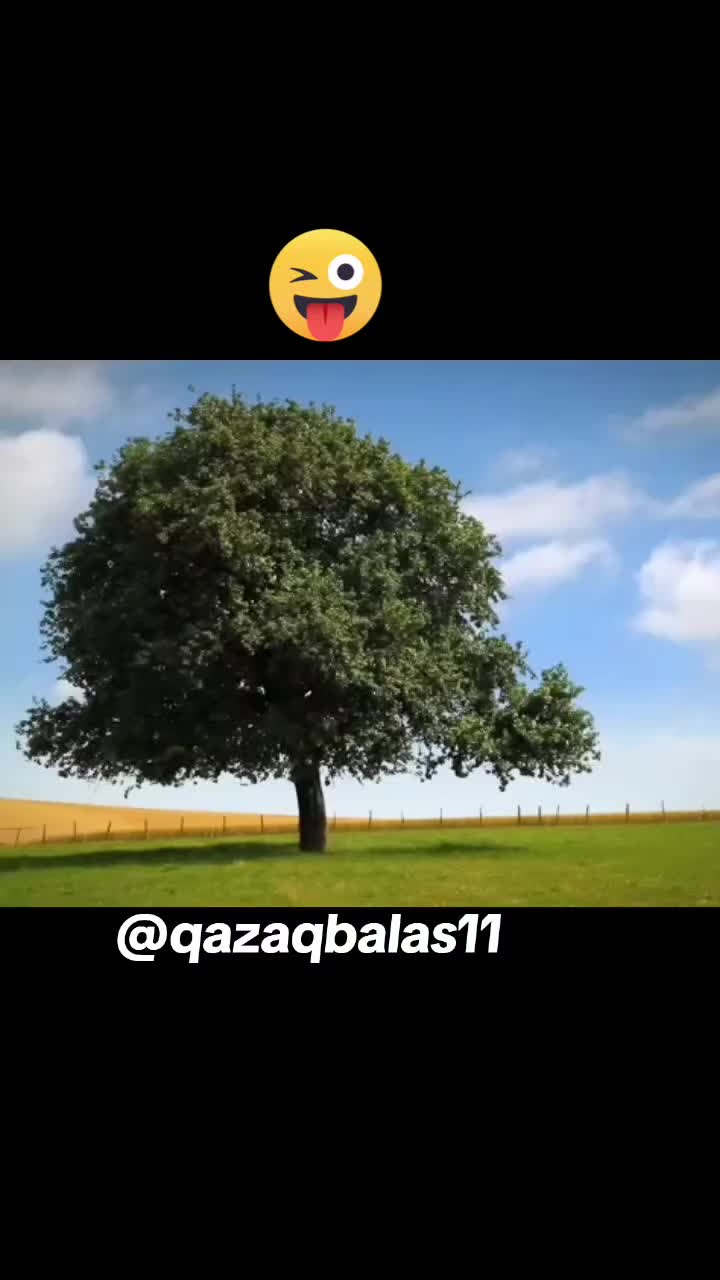 @𝐐𝐀𝐙𝐀𝐐 𝐁𝐀𝐋𝐀𝐒𝐈𝐈