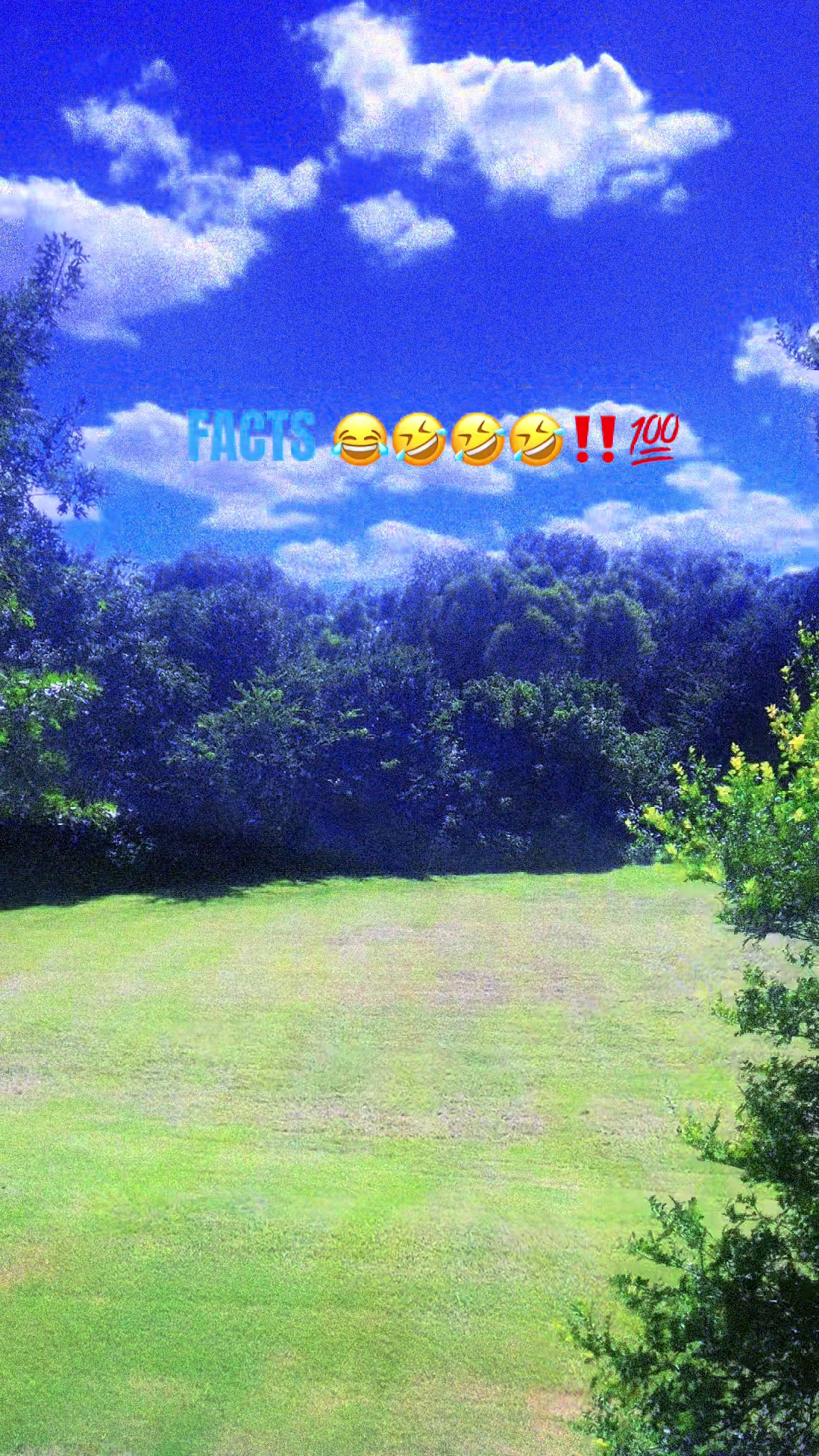 @🧲💎Cocohoney🅱️❌