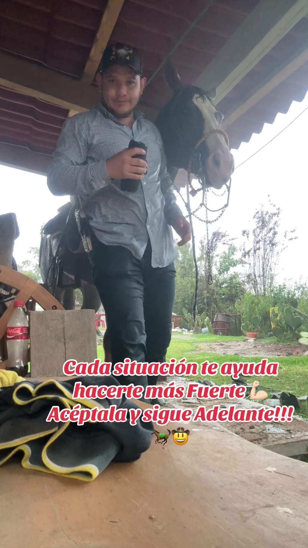 @Wily Jr 🤠