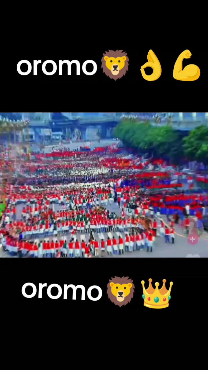 @AYIDER Warra Mooti 🦁💚5G🦁💚
