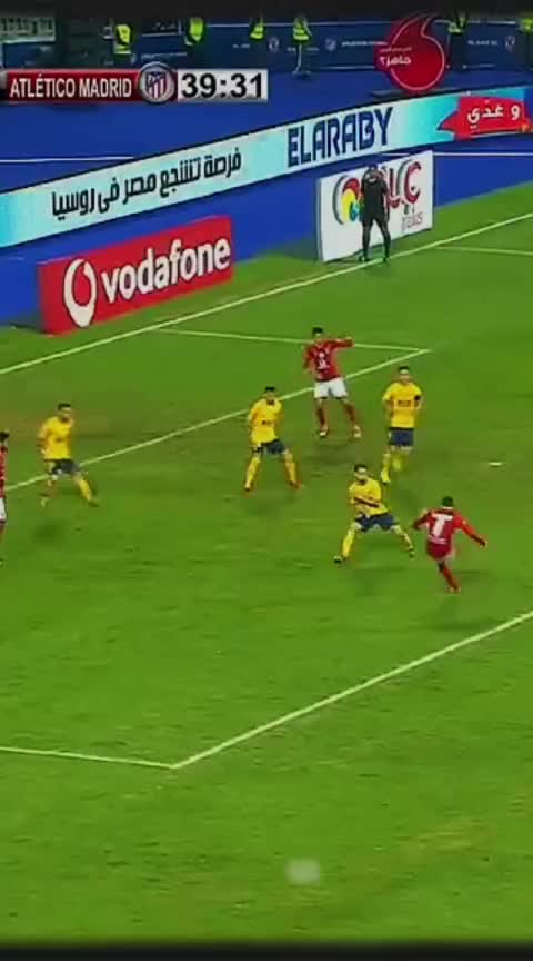 @ملعب البصرة جذع نخلة