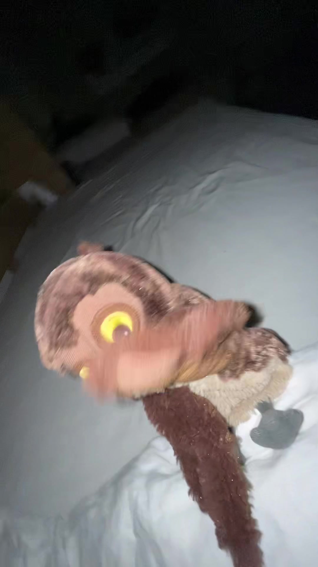 @🦉✨ Eule✨m✨🦉