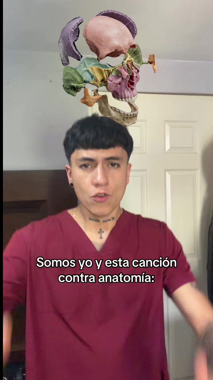 @ENDOBOY