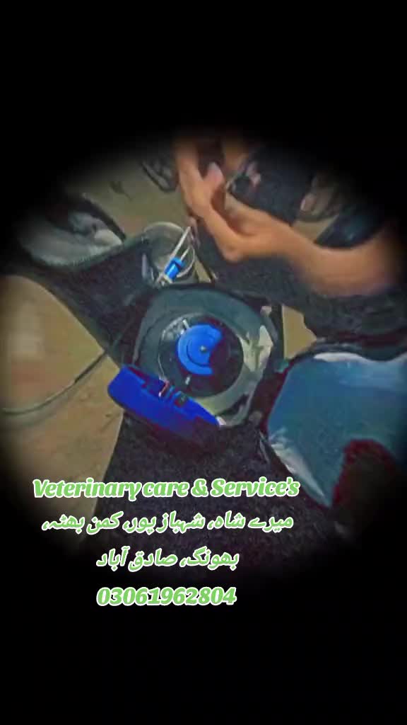 @ویٹرنری کیئر اینڈ سروسز