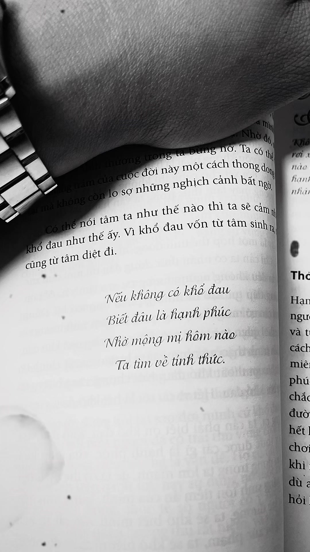 @Chú Hải Nghề Ảnh