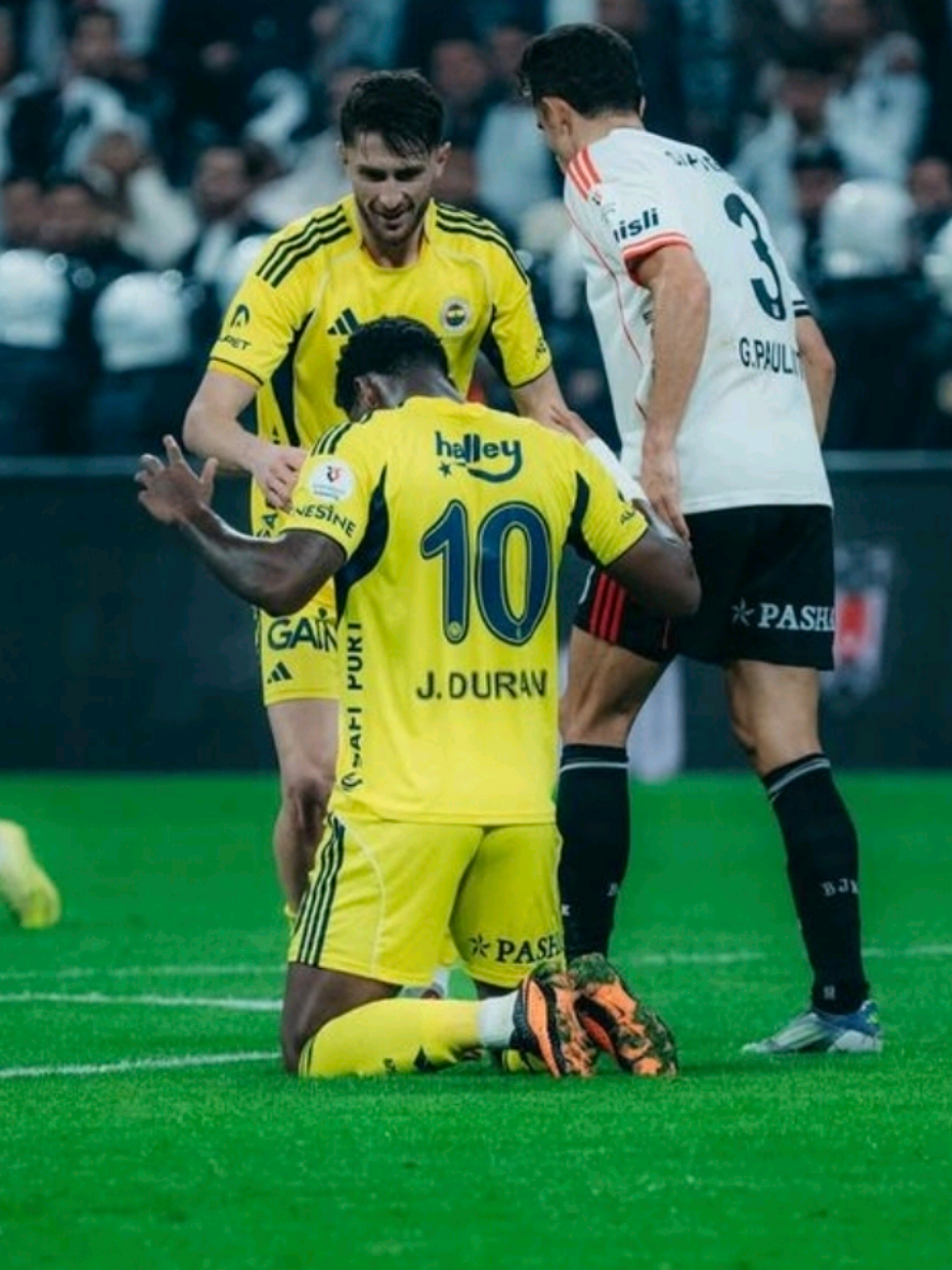 @fenerrvision