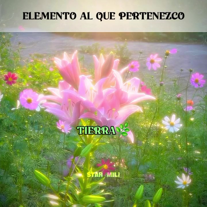 @⚝ ⸼ ࣪ 𝗪𝗮𝗹𝘆_𝗤𝗶𝘂 ׅ ⊹邱