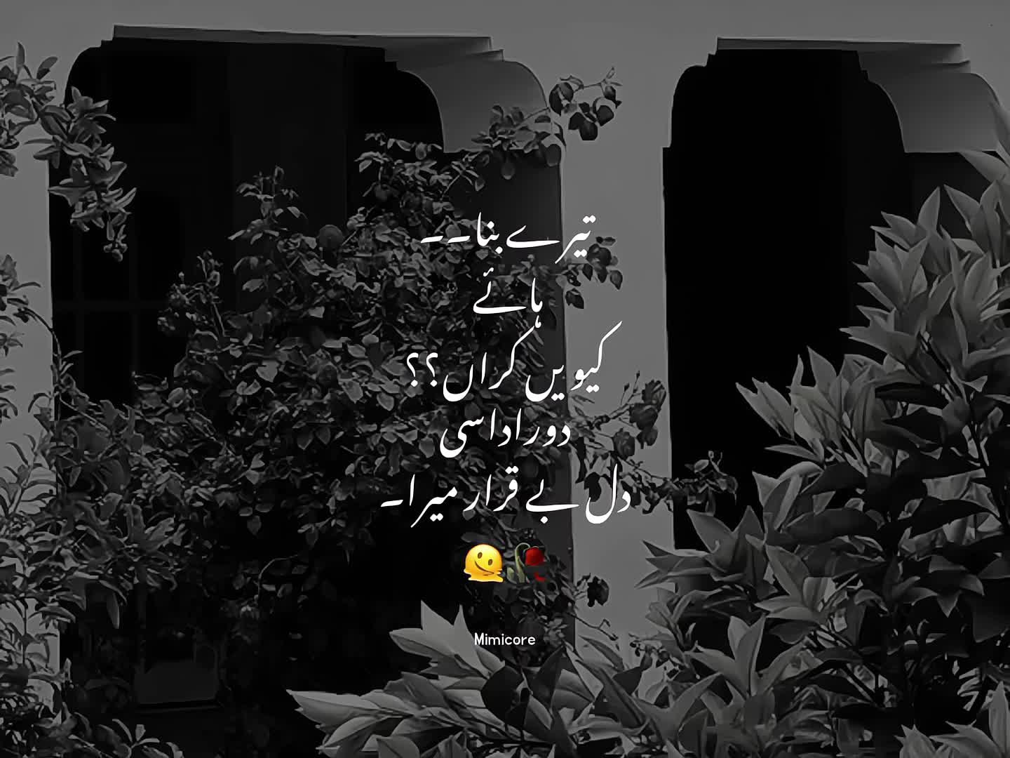 @𝑀𝒾𝓂𝒾 🚩