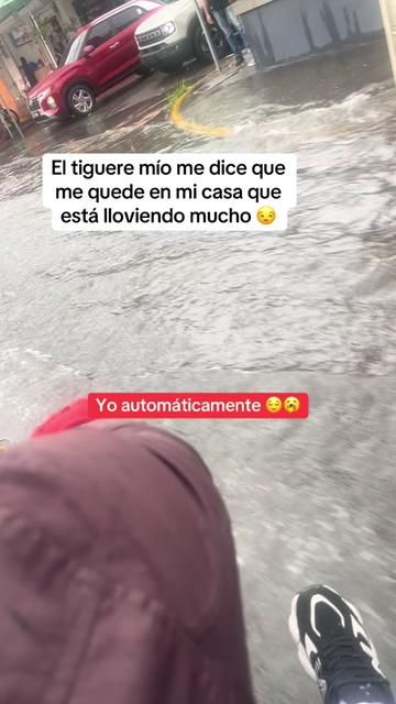 @Shely0513