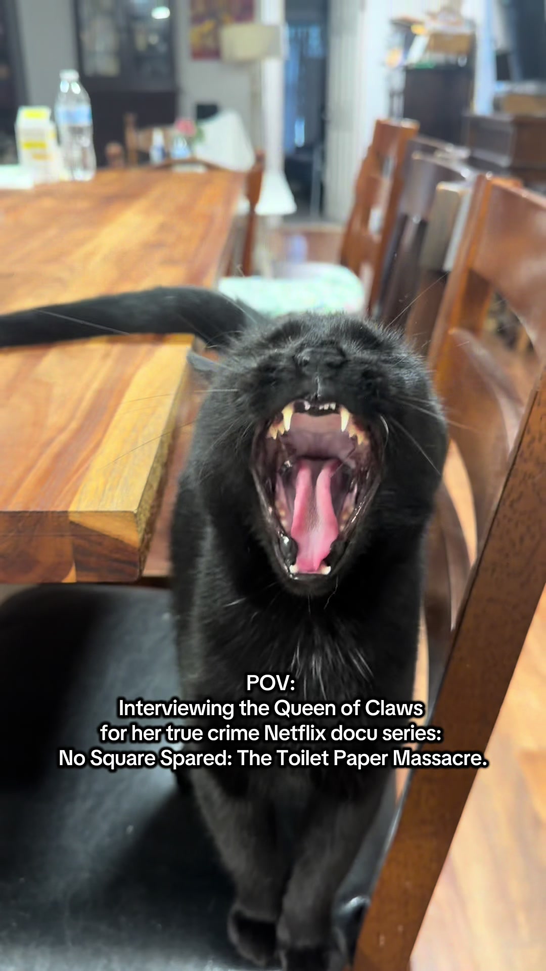 @Kylo the werewolf dog