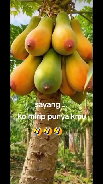 @DUREN-99😎🔥🔥