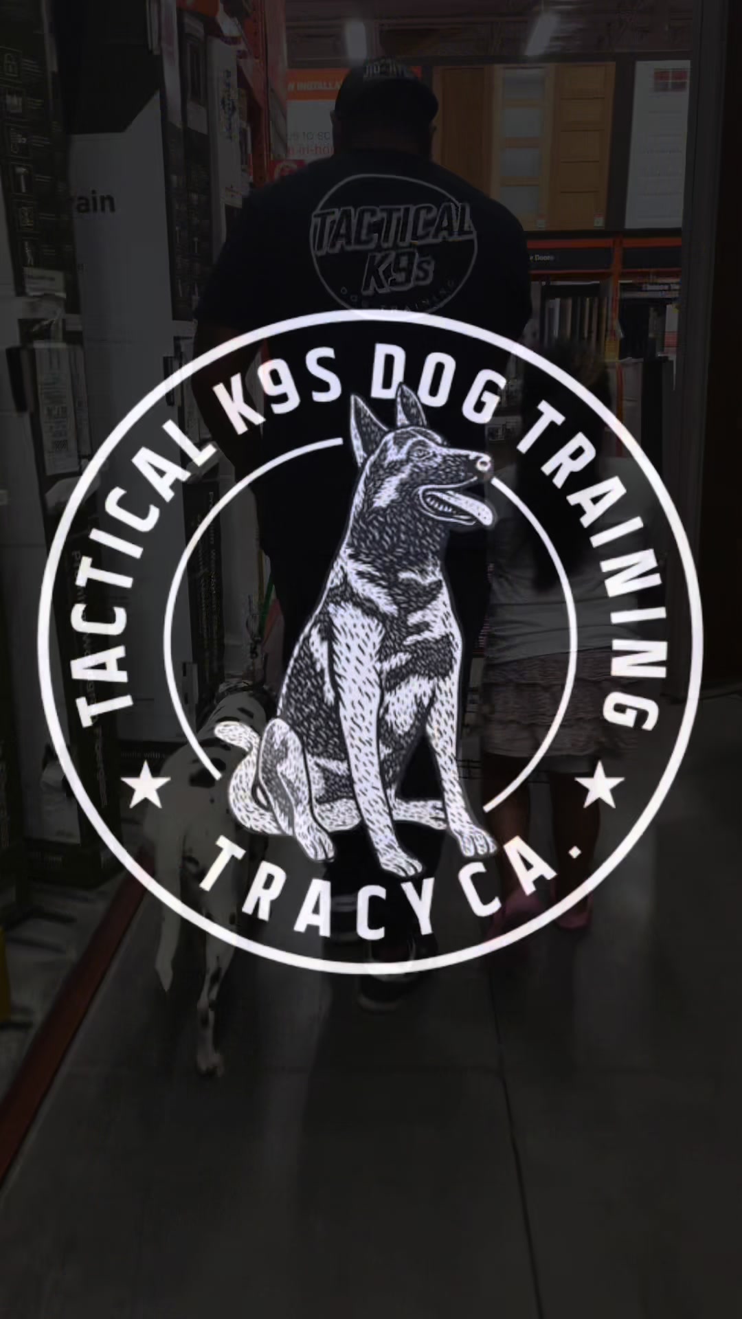 @Tactical K9s Dog Training
